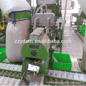 popular automatic cashew nut peeling machine